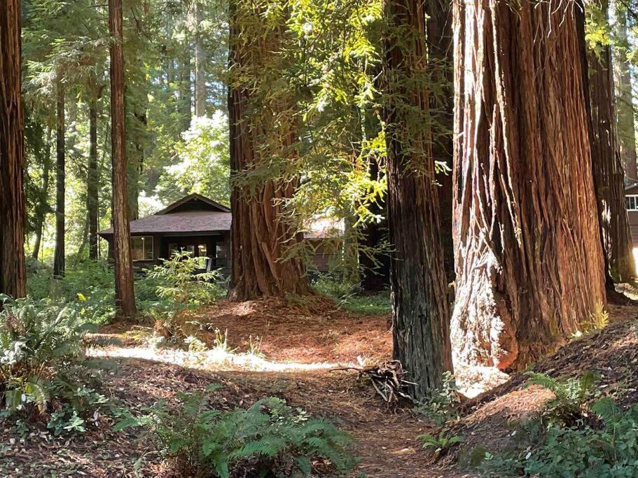 The Groves At Redway Beach - Craftsman Екстериор снимка